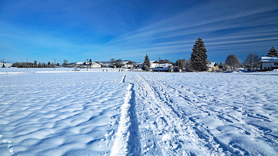 Winterwanderungen in der Region Jura